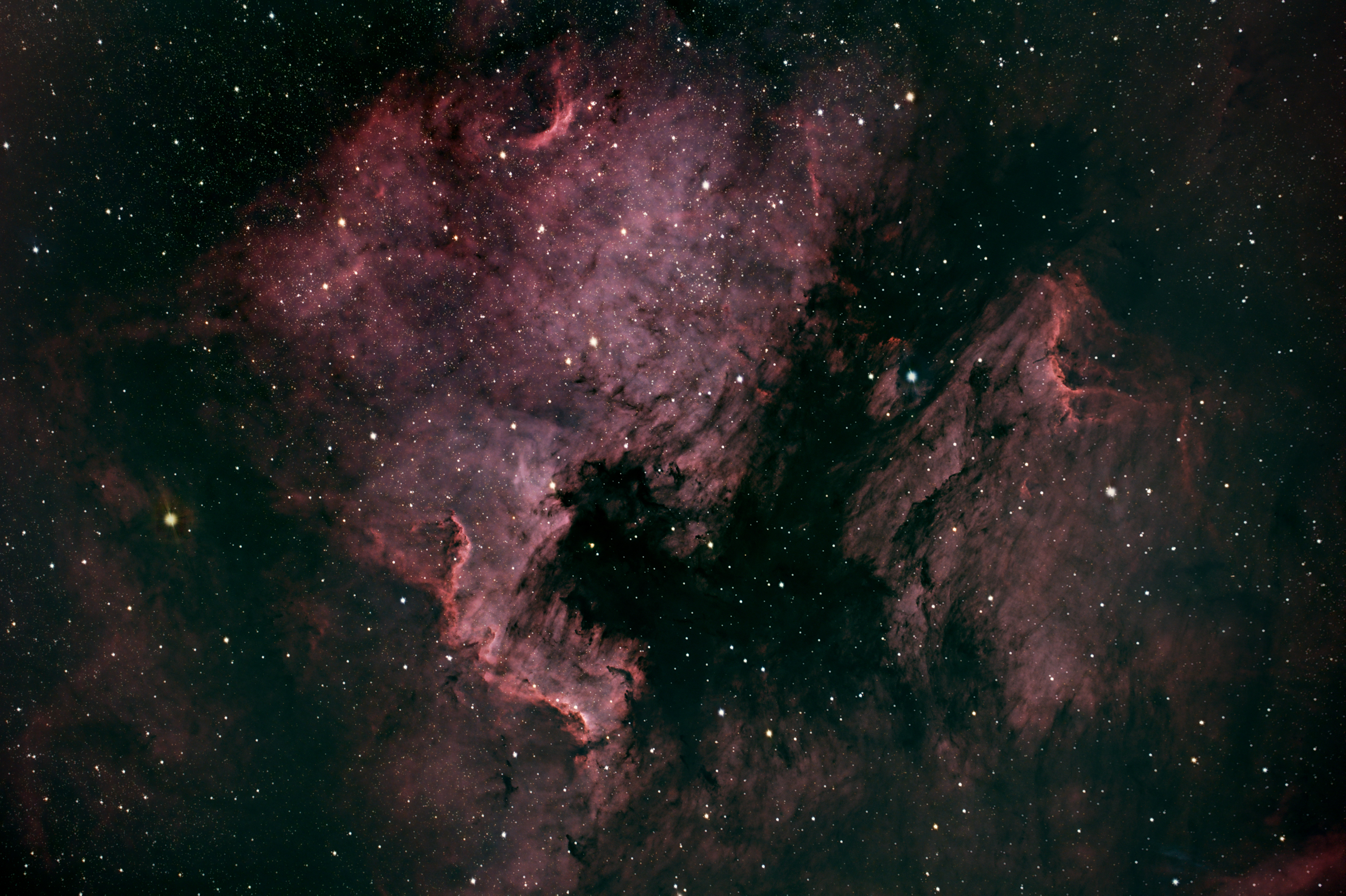 Nébuleuse de l'Amérique du Nord (NGC 7000)