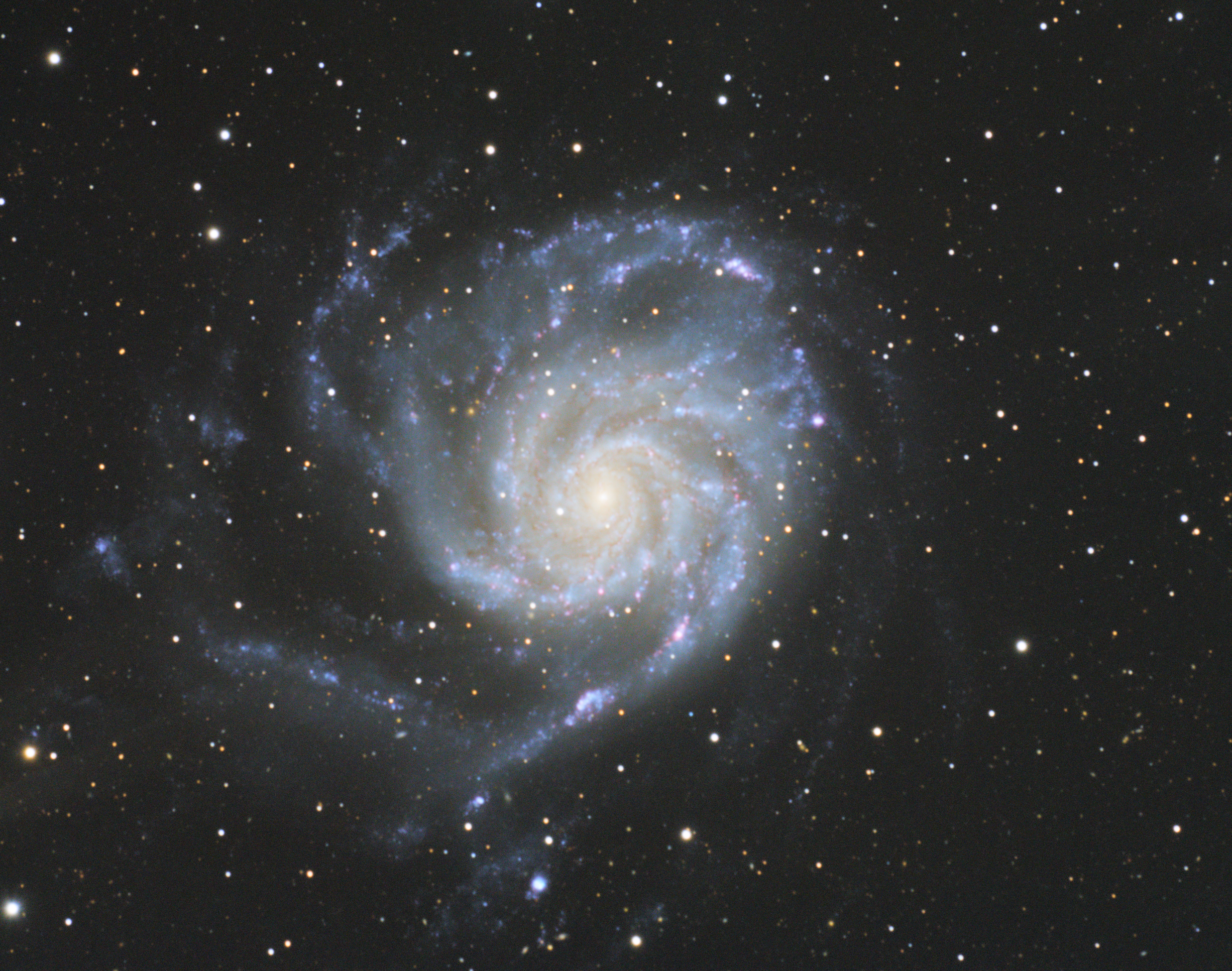 Galaxie du Moulinet (M101)
