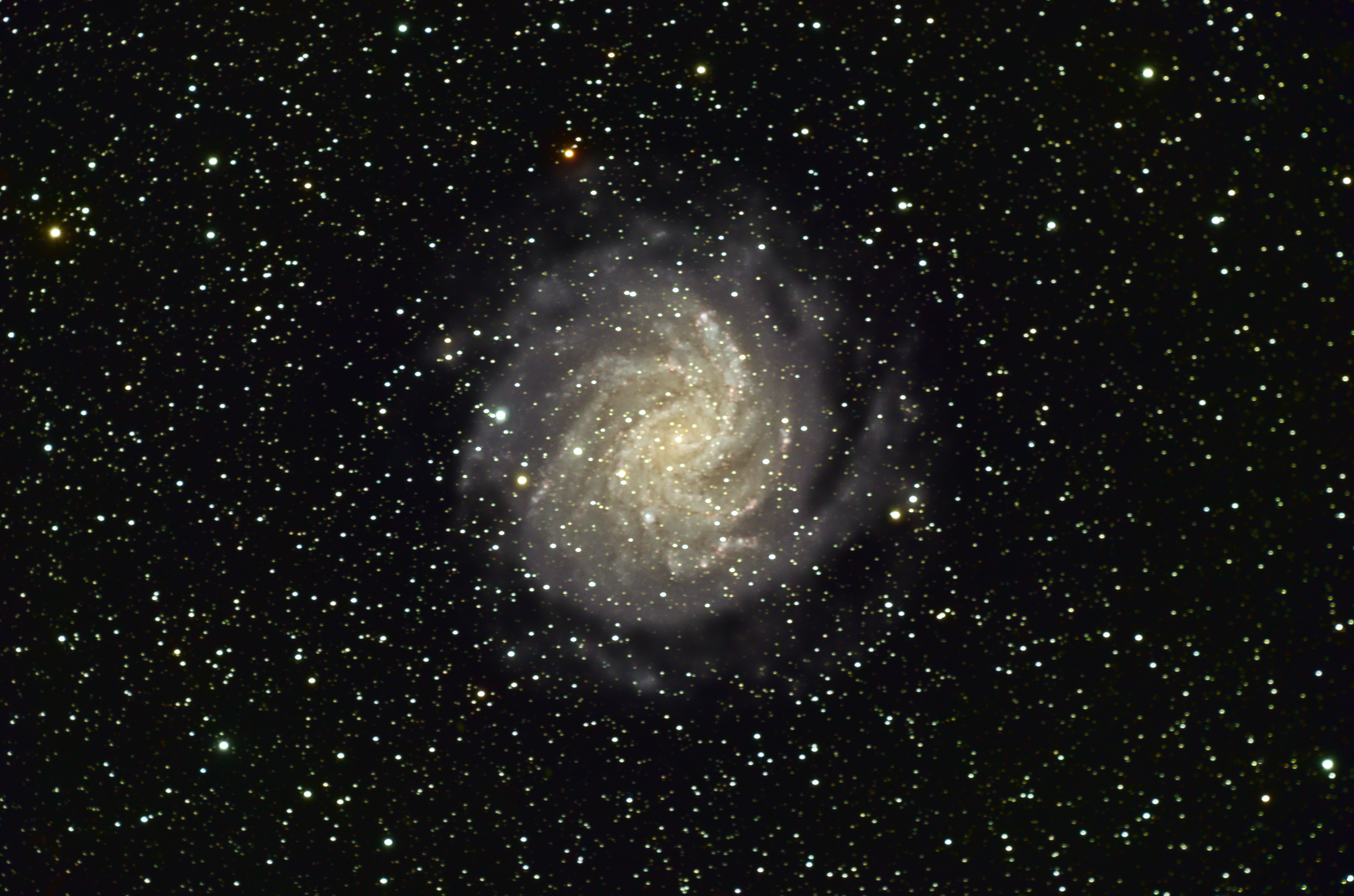 Galaxie du Feu d'Artifice (NGC 6946)