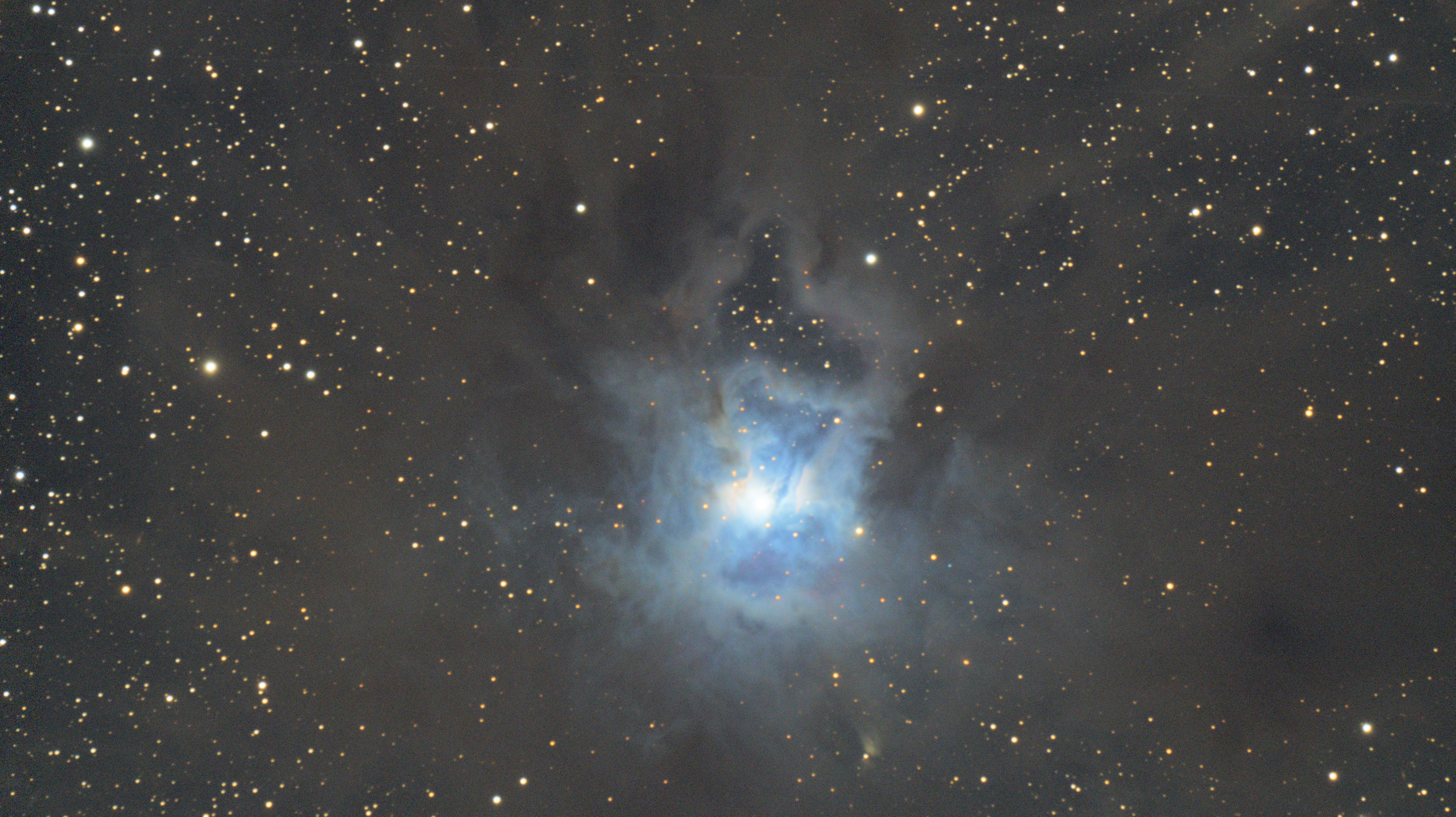 Nébuleuse de l'Iris (NGC 7023)