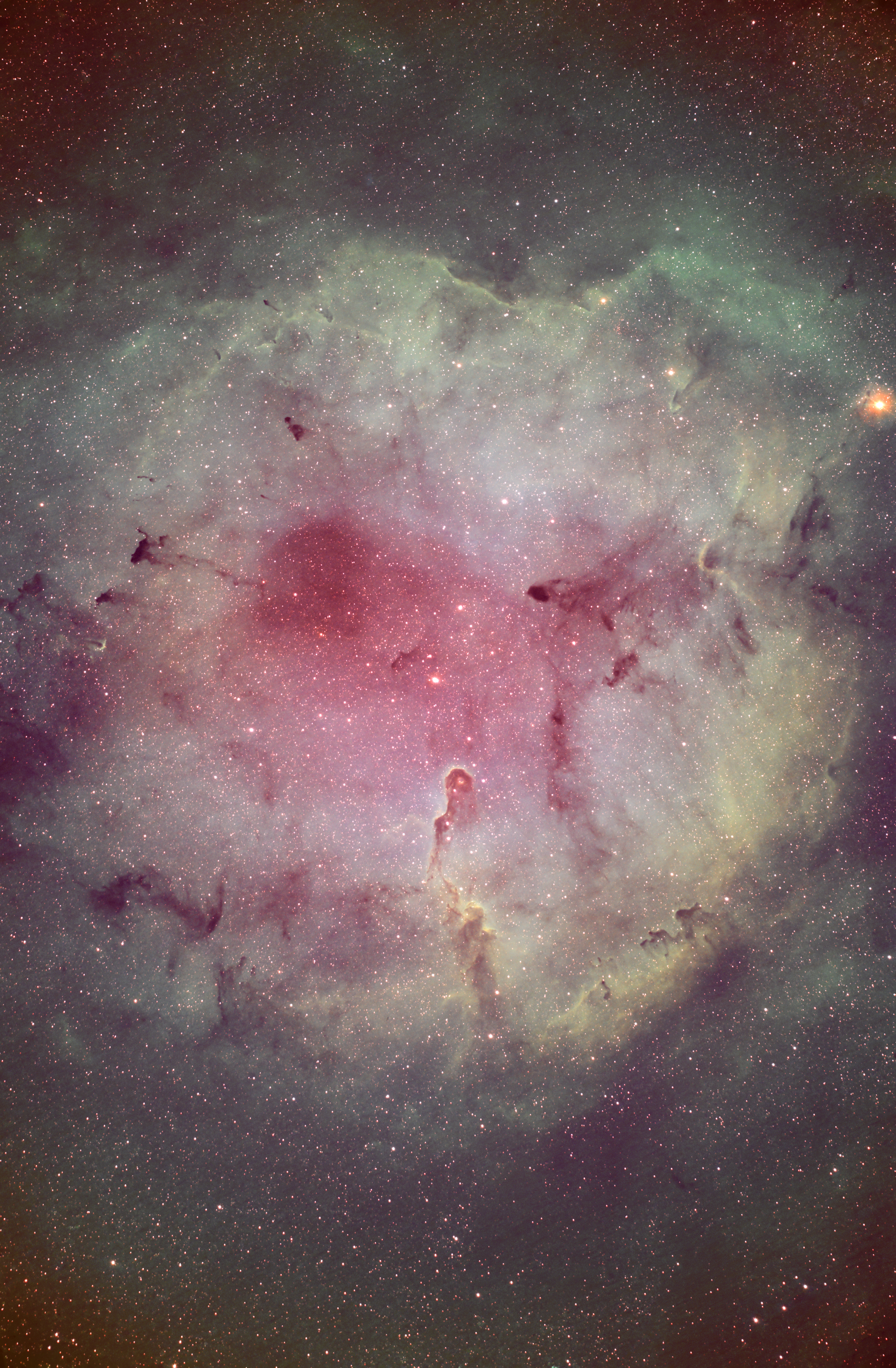 Nébuleuse de la Trompe d'éléphant (IC 1396)