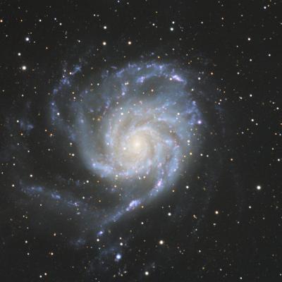 M101