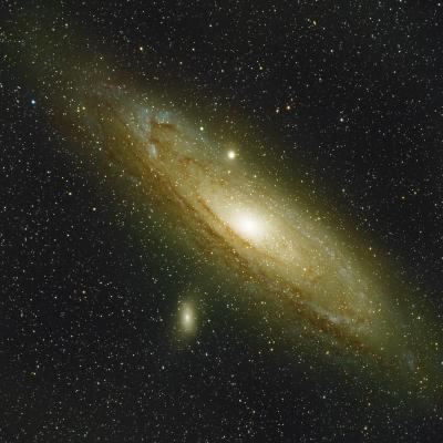 M31