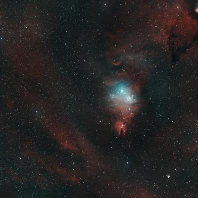 Ngc 2264
