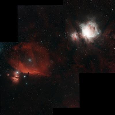 Orion