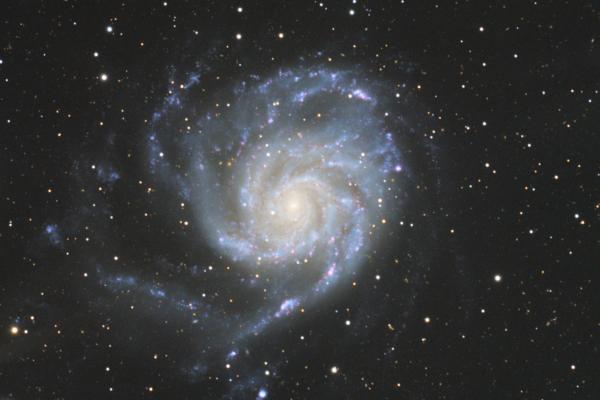 Galaxie du Moulinet (M101)