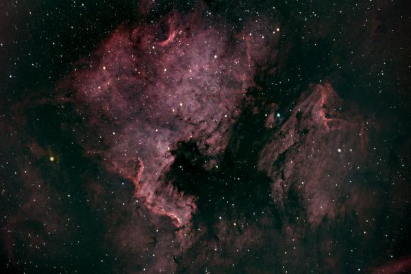 Nébuleuse de l'Amérique du Nord (NGC 7000)